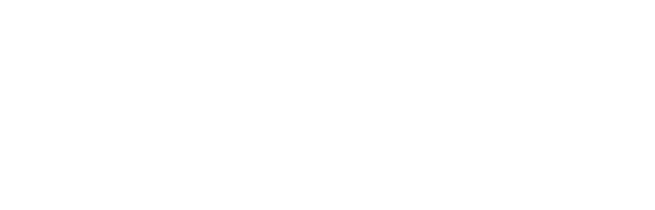 Zane Finance